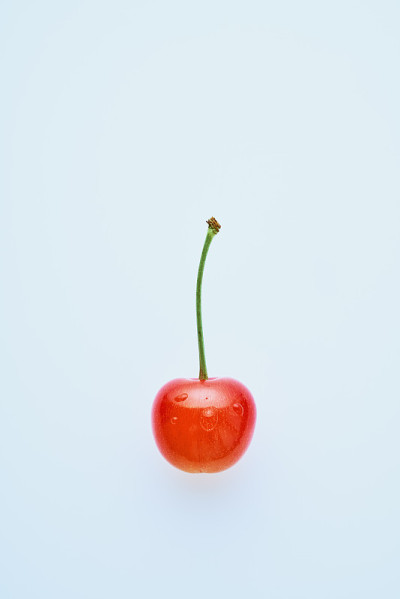 樱桃