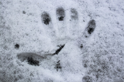 深色的雪地上有手印，手指末端有融化的aresa