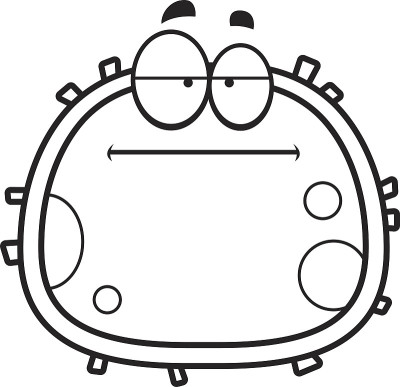 红细胞穿孔