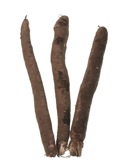 施瓦茨沃泽尔恩