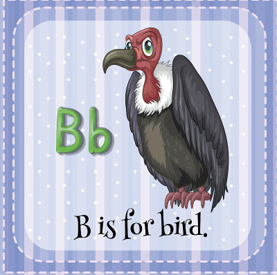 字母B