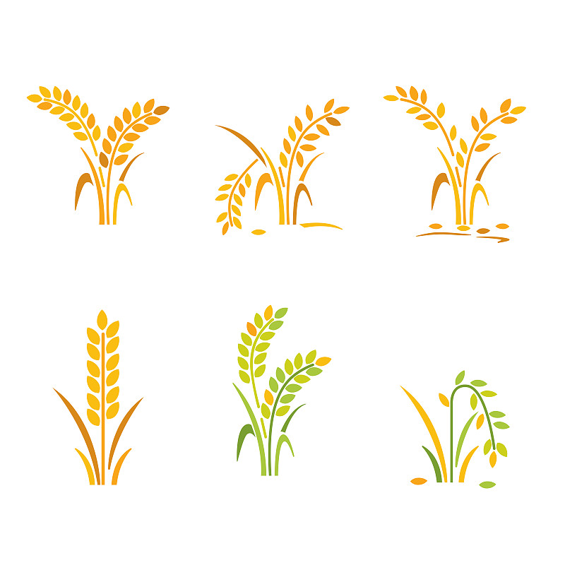 rice icon collection