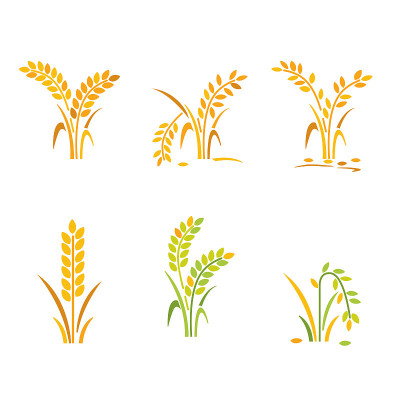 rice icon collection