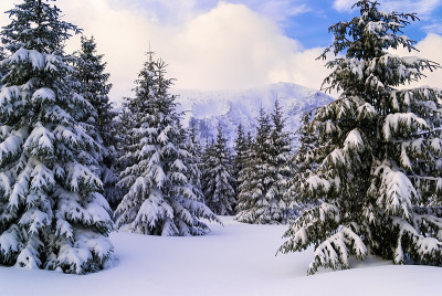 白雪皑皑的山坡