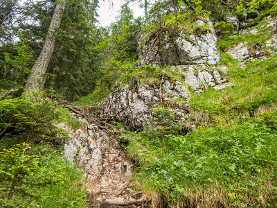在Ehrwald附近的Tiroler Zugspitz竞技场徒步旅行