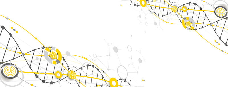 带有DNA分子的科学模板、墙纸或横幅。向量