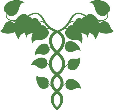整体医学Caduceus或DNA概念