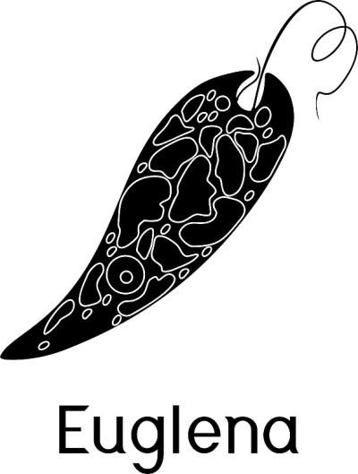 扁平风格的黑色绿毛Euglena viridis