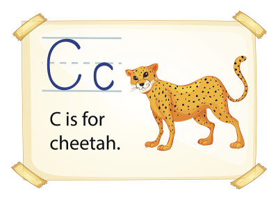 字母C