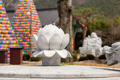 莲花雕像在佛教寺庙松广寺，五颜六色的灯笼塔为背景，韩国