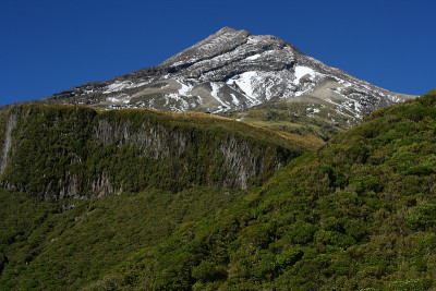 塔拉纳基山山坡上的热带雨林