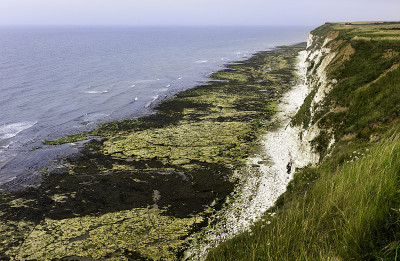 白垩悬崖，布里灵顿，Flamborough Head，约克郡，英国