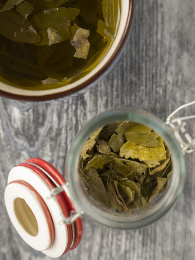 古柯茶。