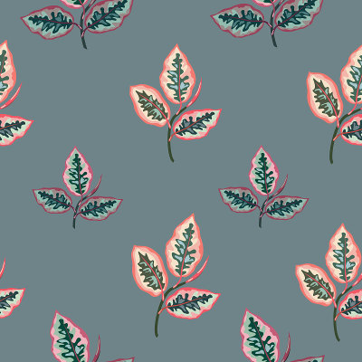 leaves of ficus