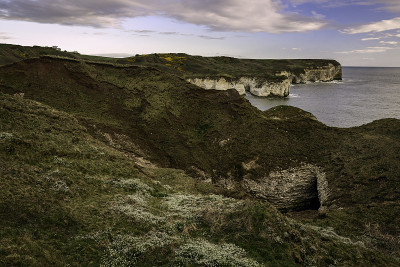有悬崖和植物的英国海岸线，Flamborough，英国。