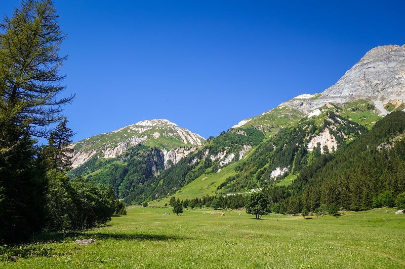 Mountain and pastures landscape in French alps