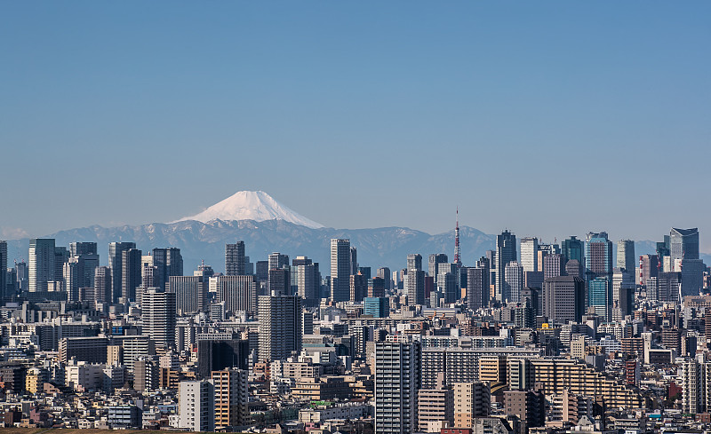 Mt.Fuji