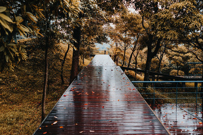 去顾山
