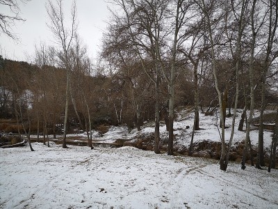 赫那勒斯河上有雪