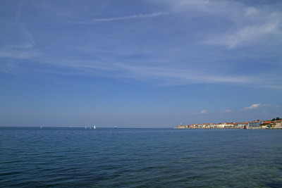 海岸