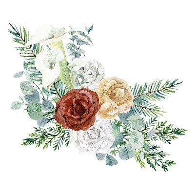 水彩冬季花束。勃艮第玫瑰，白花，绿叶桉树枝，杉树枝，树叶，小枝。植物插图贺卡，婚礼卡，婴儿送礼会