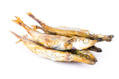 Shishamo