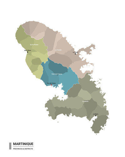 马提尼克岛高详细地图与细分。马提尼克岛的行政地图，带有地区和城市的名称，按州和行政区域着色。矢量插图
