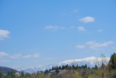 早春山