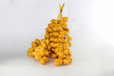 枣椰树