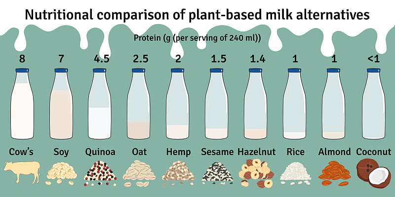 一套瓶子与植物基牛奶。素食牛奶蛋白信息图表