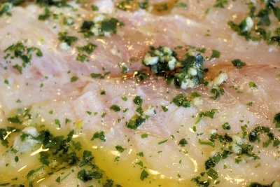 白色鱼肉