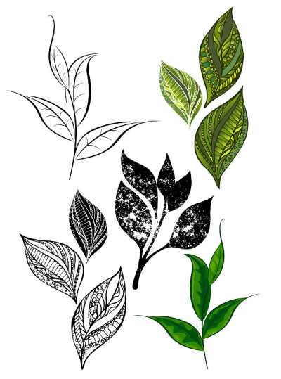 从茶的芽和叶