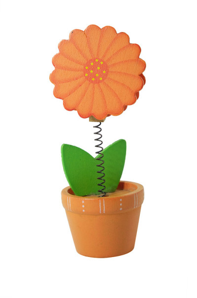 木花