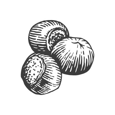 坚果