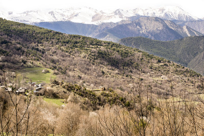 庇里牛斯山