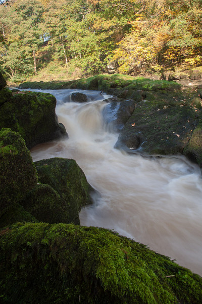 《Strid