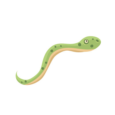 Python有趣的插图