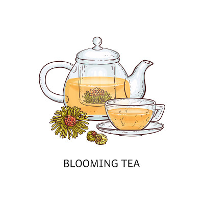 草本茶类型概念开花茶素描矢量插图孤立。
