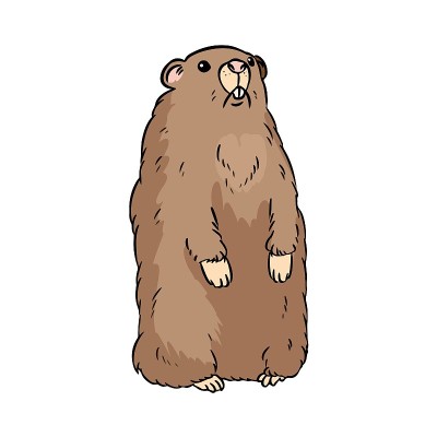 Groundhog cute cartoon image. Isolated on white ba