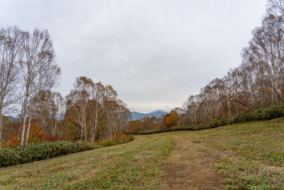 田代滑雪场在秋叶季节。日本