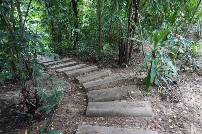 泰国森林中的自然步道