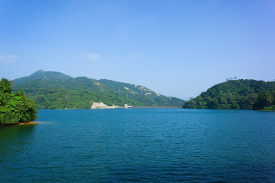 储层