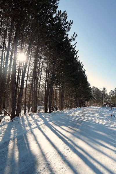 想知道,雪