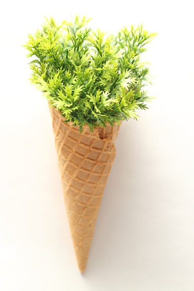 一束绿色的塑料叶子装在华夫蛋筒里