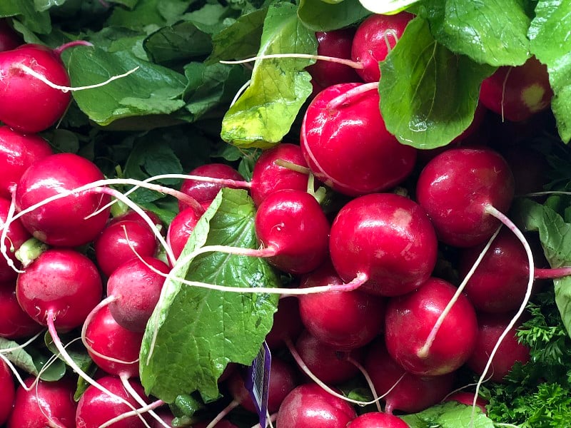 Garden Fresh Radishes