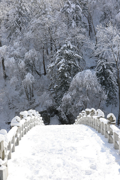 美丽的冬天的风景。白雪皑皑的石桥。(韩国江原道御田山国家公园)
