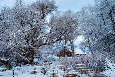 有百年历史的废弃谷仓和筒仓在下雪的早晨