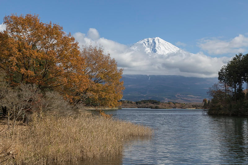 秋天的富士山，日本