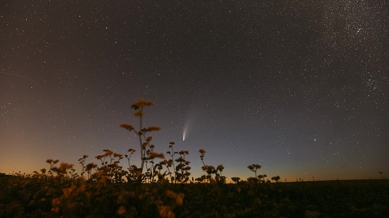 2020年7月18日。新彗星C 2020 F3在开花的荞麦农田上的星空。七月的夜星。1.04亿公里远