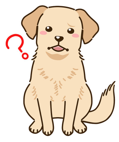 拉布拉多寻回犬比不明白(黄色)